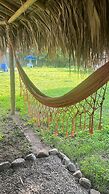 Tree of Life - Hostel