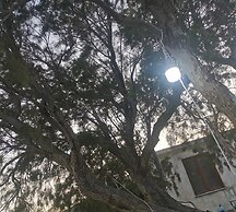 BAĞLARÖZÜ APART