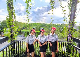 See Stars & Forest Resort