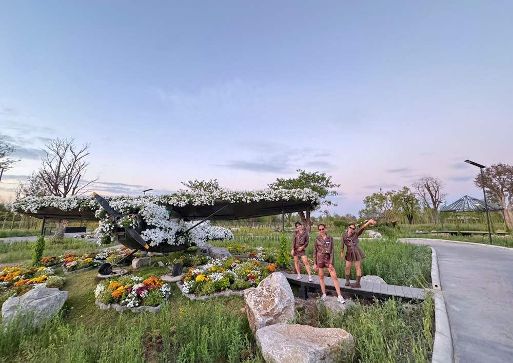 See Stars & Forest Resort