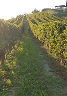 La Culla Tra I Vigneti