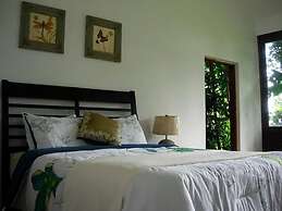 Serenity Rainforest Retreat
