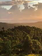Serenity Rainforest Retreat