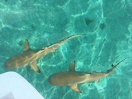 Bora-Bora