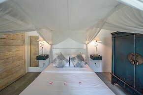 Villa Palm Tree