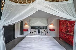 Villa Palm Tree