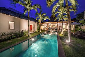 Villa Palm Tree