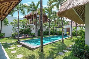Villa Palm Tree