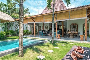Villa Palm Tree