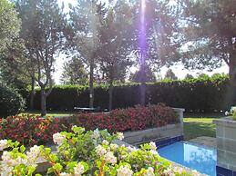 Lovely Studio With 12 Shared Pools - Beahost