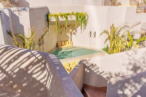 RIAD XO