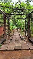 Monsoon Forest By Greetoe Resort