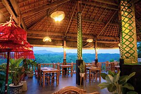 Green Coco Suite