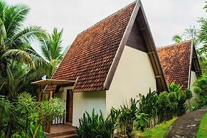Green Coco Suite