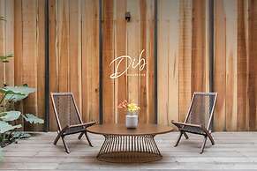 Dib Collection