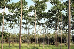 Agriresidence Ninea
