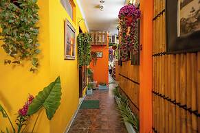 Urban Haven Sanur