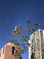 Riad Imndi