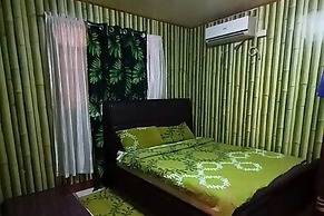 Albert'S Transient House