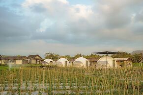 Borobudur Luxury Glamping