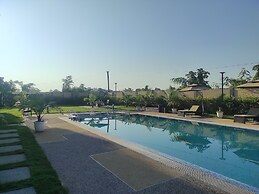 Palm Resorts