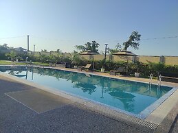 Palm Resorts