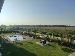 Palm Resorts