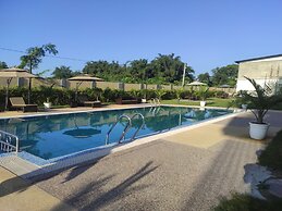 Palm Resorts