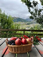 Hotel Axien Kazbegi