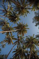 Zen Lazy Days Agonda