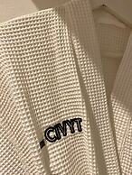 The CIVYT