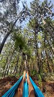Bromo Camp & Dormitory