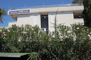 Vila Elkom Apartment 3