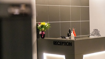 Bloom Suite