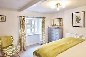 Host Stay Green Willow