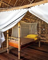 Isla - The Isla Experience