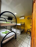 Cabinas Golfito