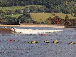 3 Trem Y Dolydd