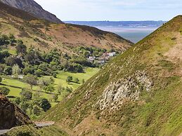 3 Trem Y Dolydd