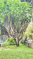 Casa Limon