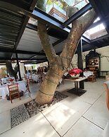 Casa Limon