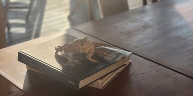Kukuru Nakijin