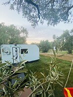 Caravan Home