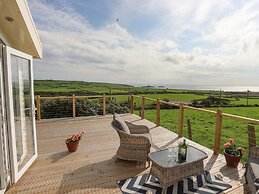 Cae'r Wylan