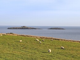 Cae'r Wylan