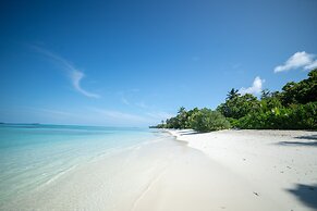 Whaleshark Beach
