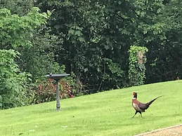 Hollybush Lodges