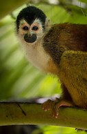 LA PONDEROSA Beach & Jungle Resort