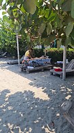Chevere Beach Cabañas sas