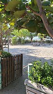 Chevere Beach Cabañas sas
